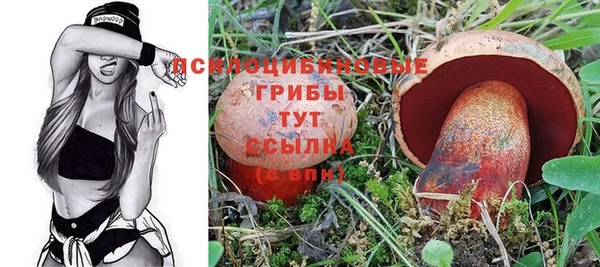 Альфа ПВП Заводоуковск