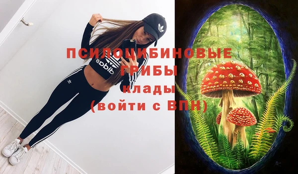 Альфа ПВП Заводоуковск