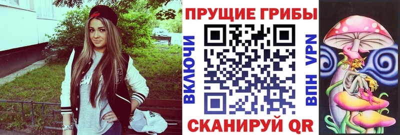 Купить  Ишимбай  Галлюциногенные грибы Psilocybine cubensis 